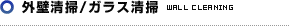 外壁清掃/ガラス清掃